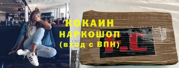 шишки Гусиноозёрск