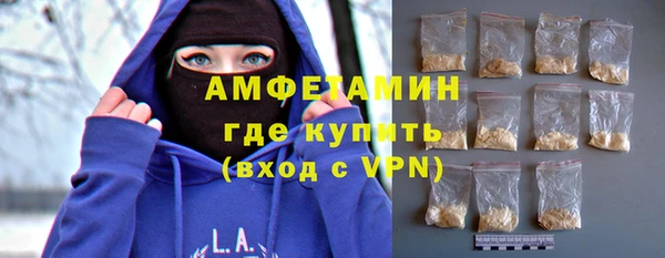 шишки Гусиноозёрск