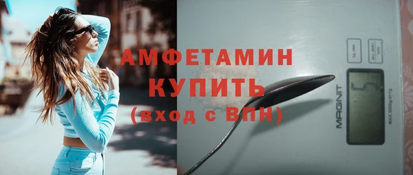 шишки Гусиноозёрск
