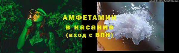 шишки Гусиноозёрск