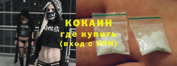 шишки Гусиноозёрск