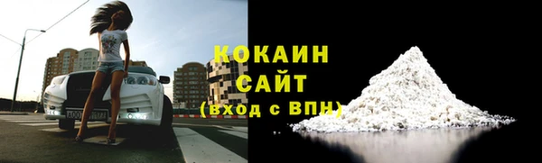 шишки Гусиноозёрск