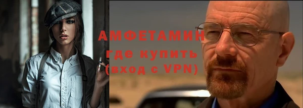 шишки Гусиноозёрск