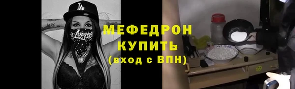 шишки Гусиноозёрск