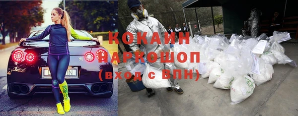 шишки Гусиноозёрск