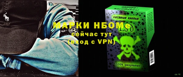 шишки Гусиноозёрск