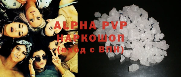 шишки Гусиноозёрск