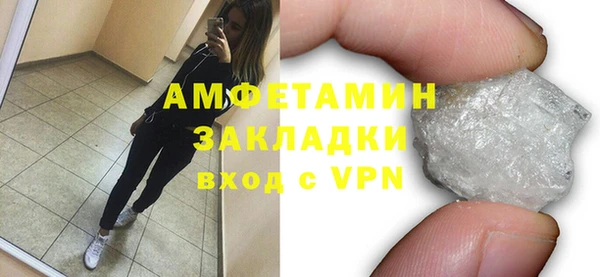 шишки Гусиноозёрск